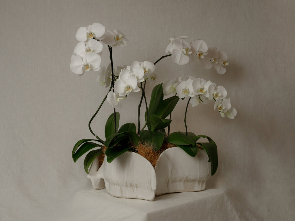 Planters