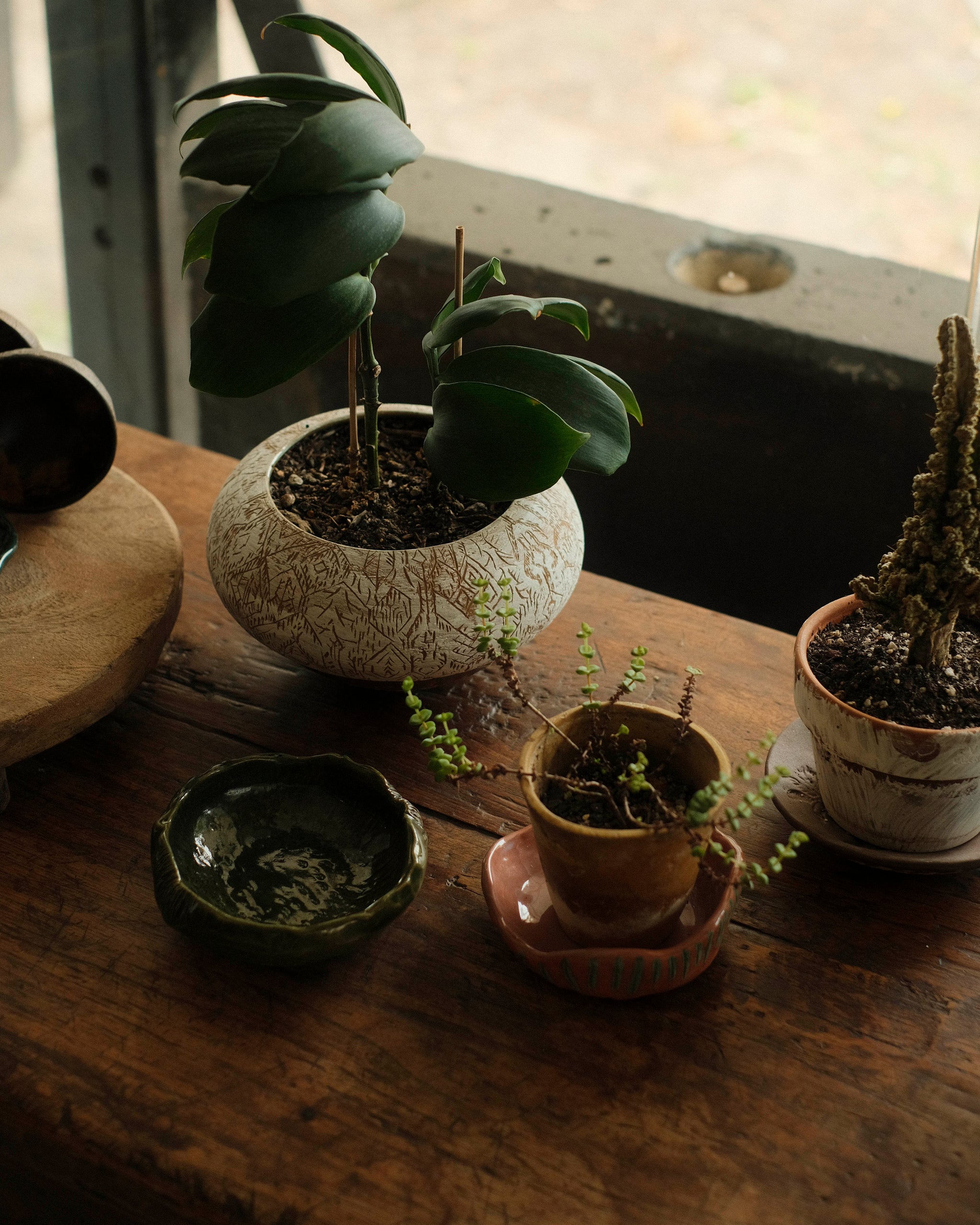 Products – Kimu